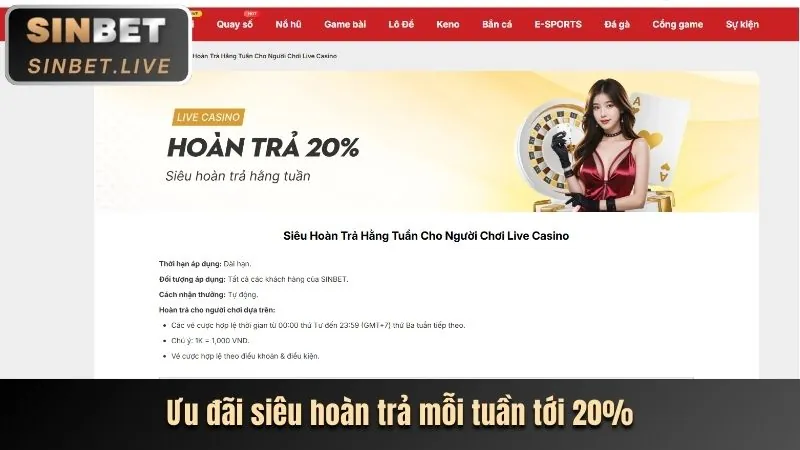 Cam kết của mm9 đăng ký