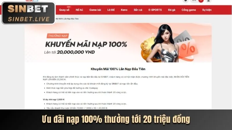 Bước 2: Điền thông tin đăng ký mm9